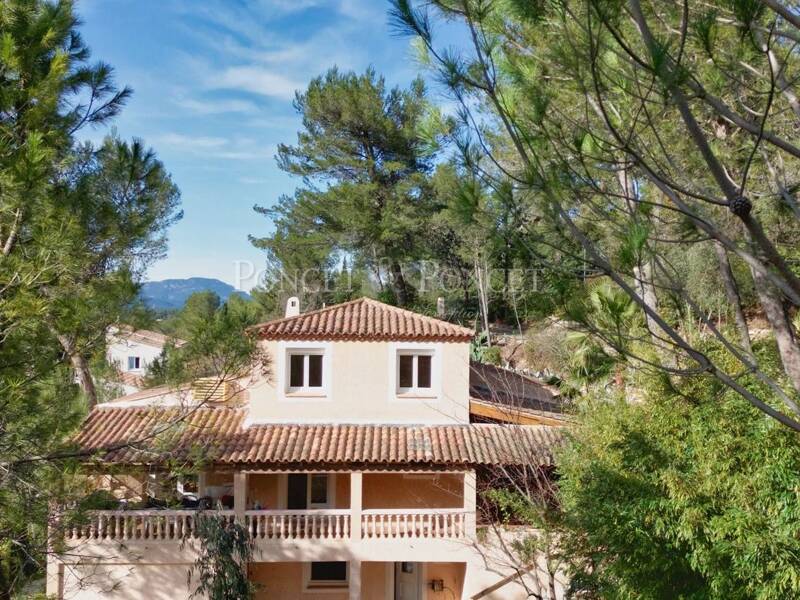 Maison à vendre, 260m², MONTFERRIER SUR LEZ