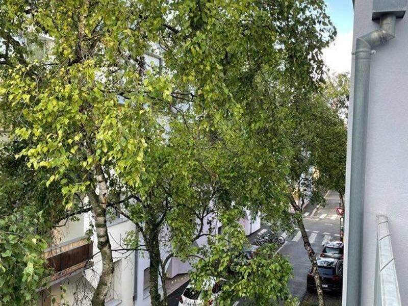 Maison à louer, 36m², STRASBOURG