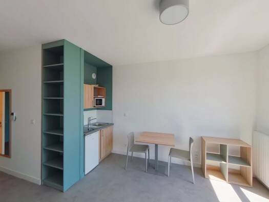 Appartement à louer 520 € 1 pièce 30 m² Étage 1/2 Limas 69400