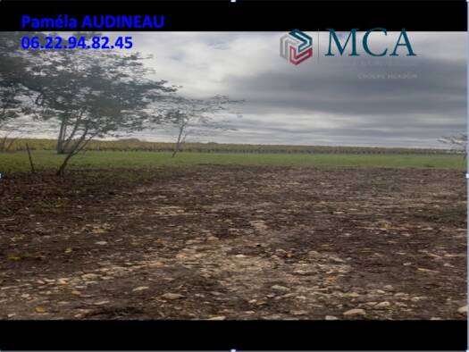 Terrain constructible à vendre 160 000 € 5 000 m² de terrain Langoiran 33550