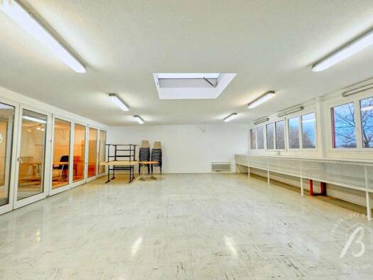 Local d'activités à louer 1 300 € 279 m² d'espace de stockage Duttlenheim 67120