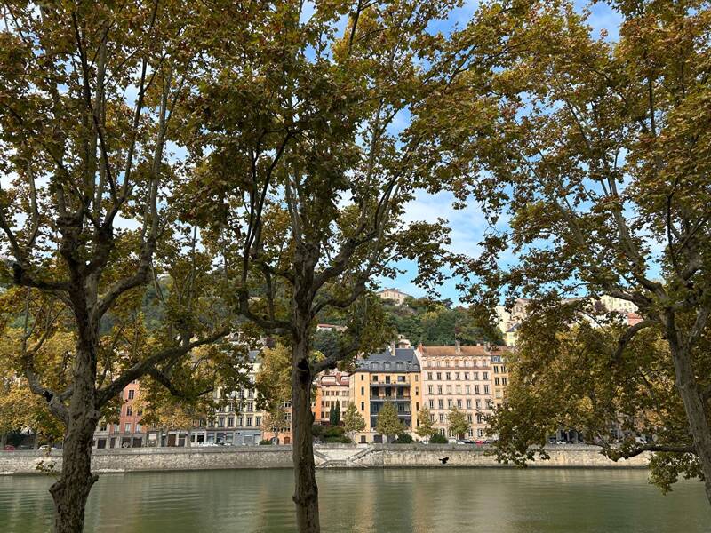 Maison à louer, 81m², LYON 2E