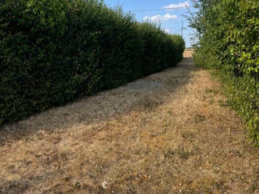 Terrain constructible à vendre 39 000 € 2 367 m² de terrain Plou 18290
