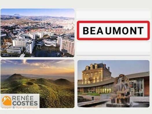 Maison en viager occupé Bouquet 50 750 € 4 pièces 3 chambres 116 m² 285 m² de terrain Chataigneraie-Vallieres Beaumont 63110