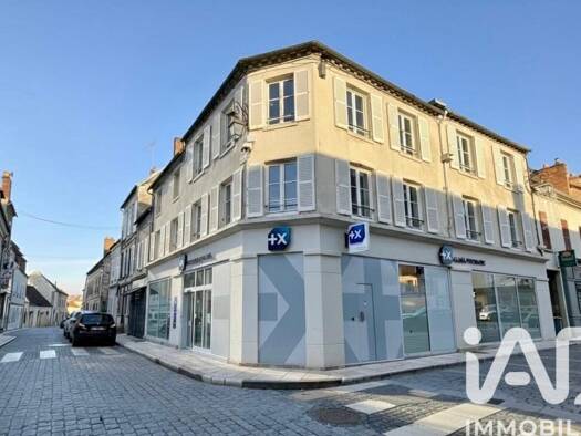 Immeuble à vendre 299 000 € 330 m² Bourg et Hameaux Rive Droite Villeneuve-sur-Yonne 89500