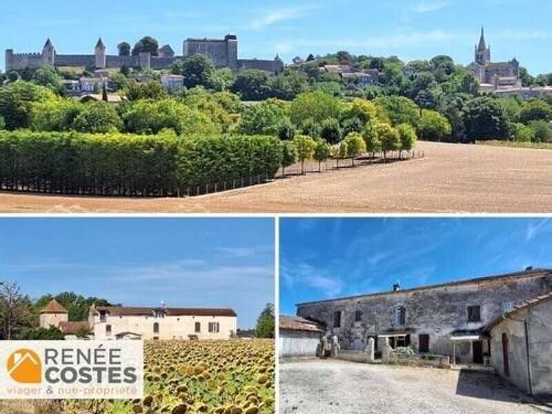 Maison à vendre, 300m², VILLEBOIS LAVALETTE