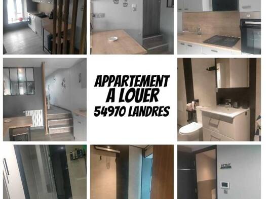 Appartement à louer 1 150 € 2 pièces 1 chambre 50 m² 1er étage Landres 54970