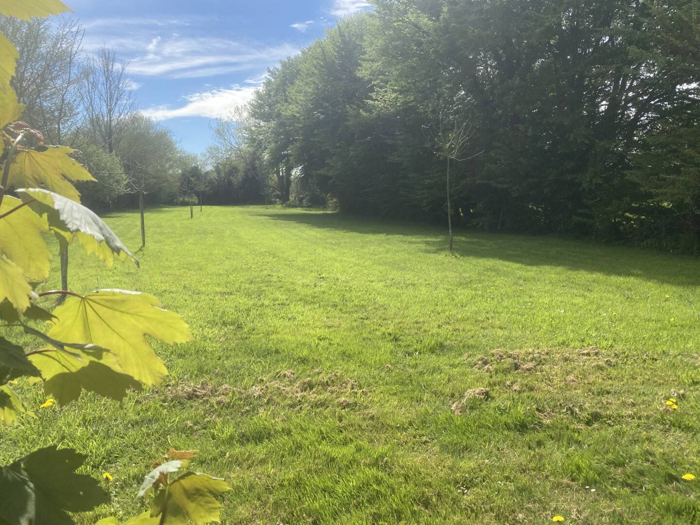 Maison à vendre, 70m², CALVADOS