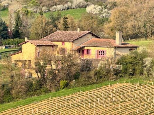 Maison à vendre 830 000 € 8 pièces 4 chambres 185 m² 19 620 m² de terrain Charnay 69380