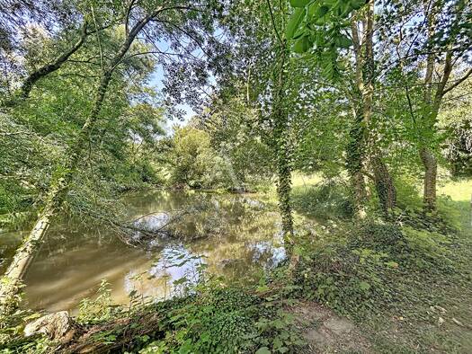 Terrain à vendre 159 900 € 23 946 m² de terrain La Roche-Neuville 53200
