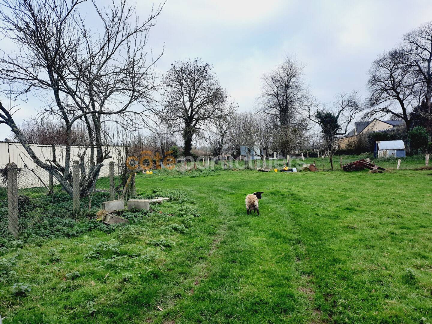 Maison à vendre, 100m², SAINT JEAN DES CHAMPS