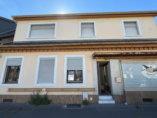Maison à vendre 349 000 € 7 pièces 4 chambres 165 m² 338 m² de terrain Bischwiller 67240