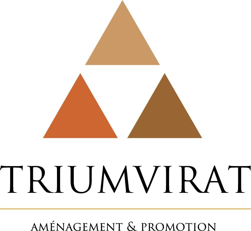 TRIUMVIRAT FINANCES