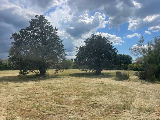 Terrain constructible à vendre 199 000 € 1 155 m² de terrain Le Thor 84250