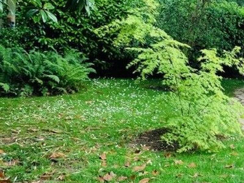 Maison à vendre, 700m², PARIS 16E