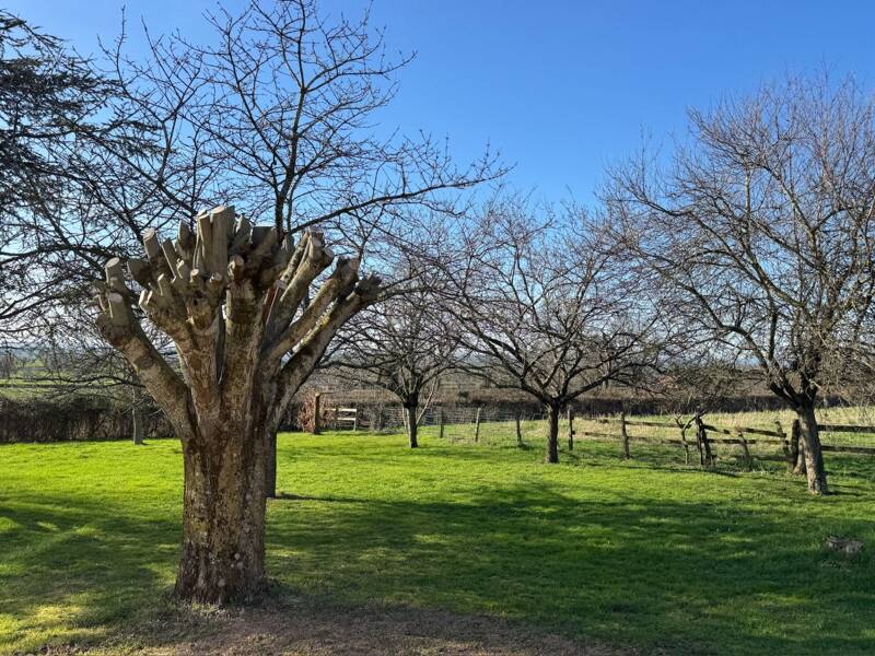 Maison à vendre, 150m², PARAY LE MONIAL