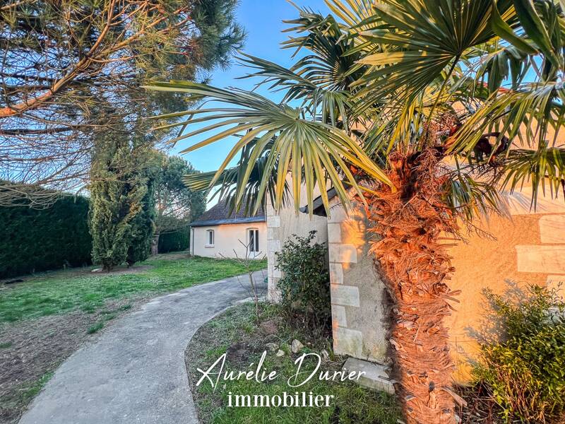 Maison à louer, 215m², BALLAN MIRE