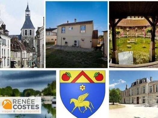 Maison en viager occupé Bouquet 33 075 € 2 pièces 1 chambre 50 m² 874 m² de terrain Le Paradis Joigny 89300