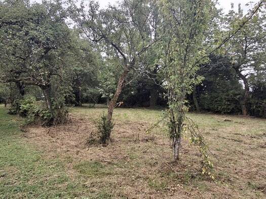 Terrain constructible à vendre 27 000 € 2 600 m² de terrain Les Aix-d'Angillon 18220