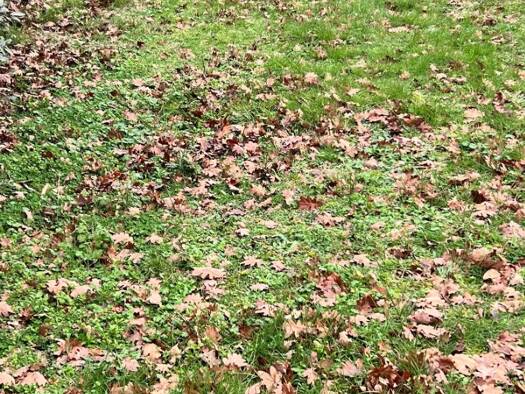 Terrain constructible à vendre 275 000 € 655 m² de terrain Aiguillon-Port La Teste-de-Buch 33260