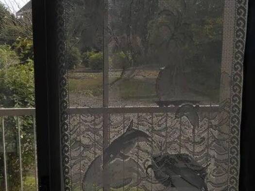 Appartement à louer - logement étudiant 450 € 1 pièce 31 m² 1er étage Roscoff 29680