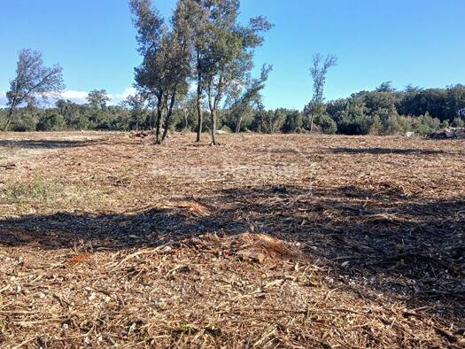 Terrain à vendre 71 000 € 1 102 m² de terrain Orgnac-l'Aven 07150
