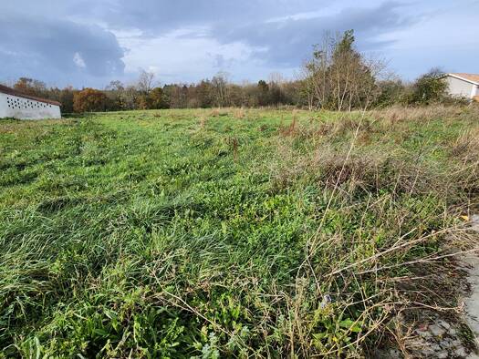 Terrain à vendre 39 000 € 1 224 m² de terrain Val-de-Livenne 33820