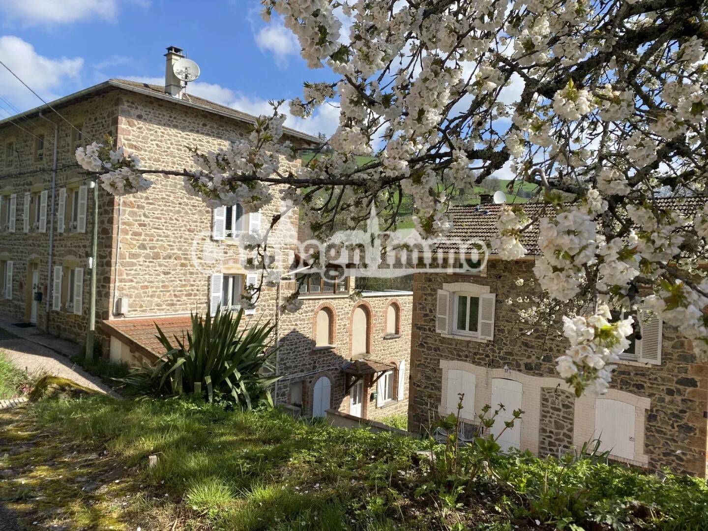 Maison à vendre, 380m², SAINT VINCENT DE REINS