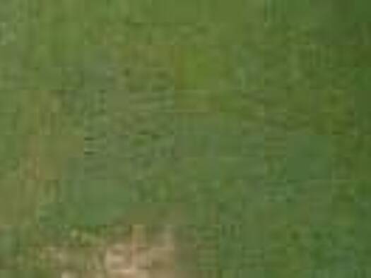 Terrain constructible à vendre 80 080 € 1 001 m² de terrain Pouligney-Lusans 25640