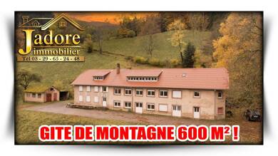 Maison de ville à vendre 349 000 € 25 pièces 12 chambres 630 m² 8 129 m² de terrain Ste Marie Aux Mines 68160