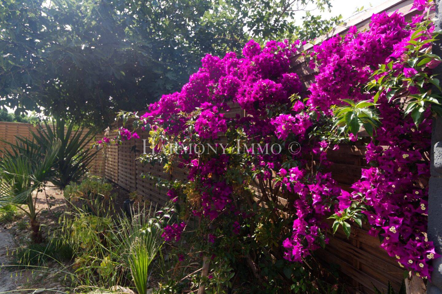Maison à vendre, 80m², AJACCIO