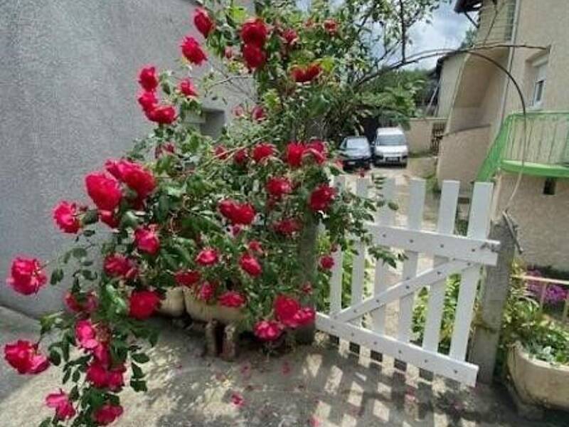 Maison à vendre, 56m², SAINT ETIENNE