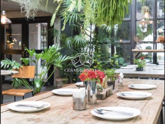 Restaurant à vendre Fonds de commerce 46 500 € 36 m² d'espace de restauration Lyon 2ème arrondissement 69002