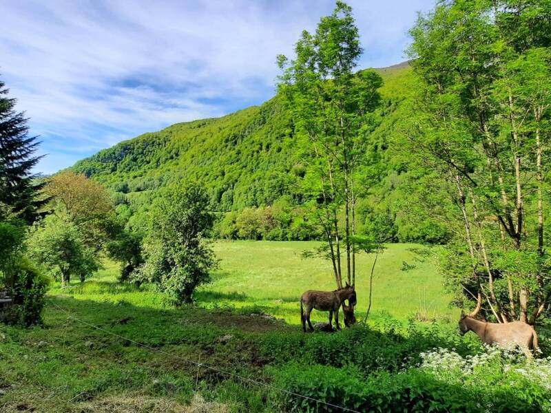 Maison à vendre, 102m², ERCE