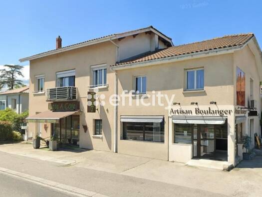 Immeuble à vendre 890 000 € 340 m² Condrieu 69420