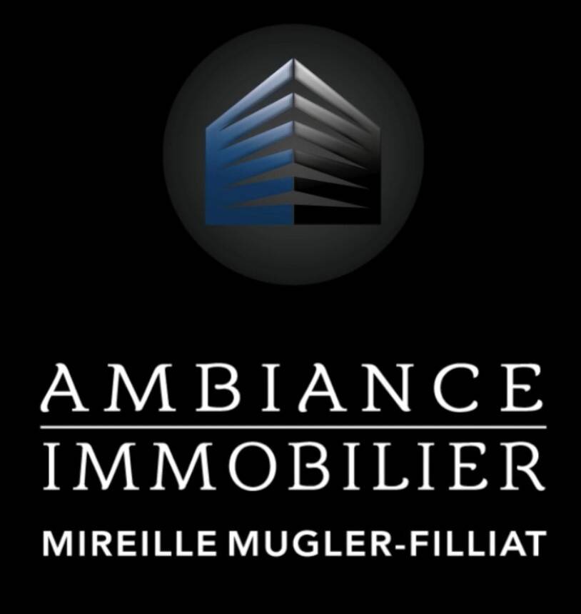 AMBIANCE IMMOBILIER