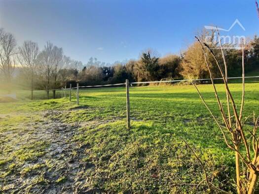 Maison de plain-pied en viager 89 000 € 4 pièces 2 chambres 71,5 m² 3 520 m² de terrain Veuzain-sur-Loire 41150