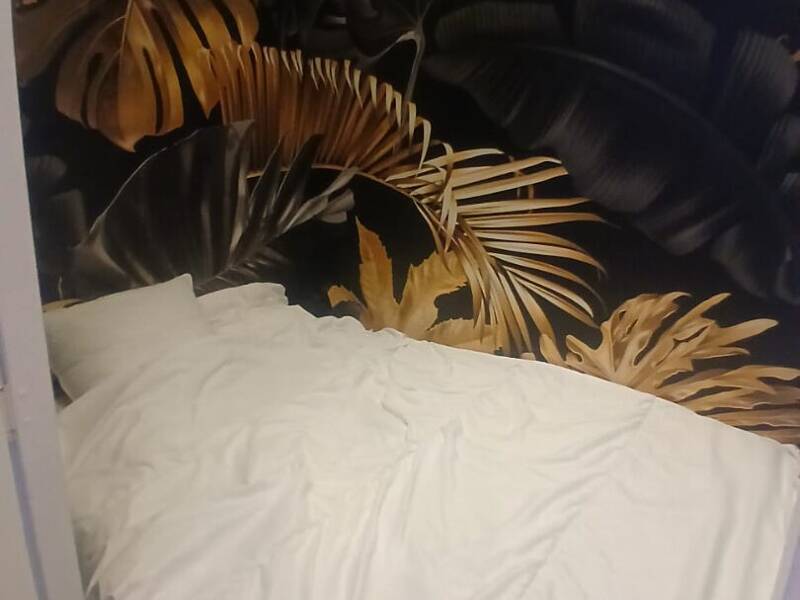 Maison à louer, 26m², LYON 8E