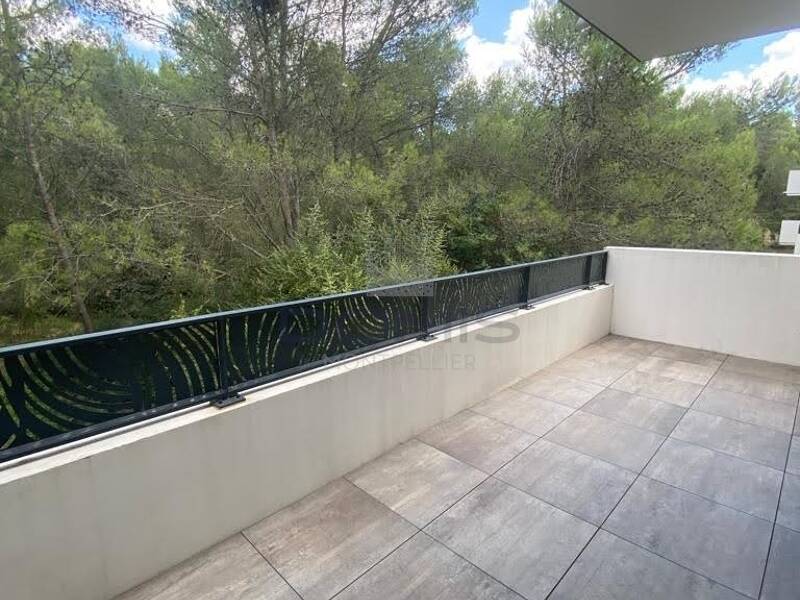 Maison à louer, 42m², SAINT GELY DU FESC