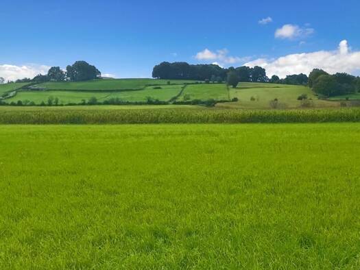Terrain constructible à vendre 308 000 € 11 000 m² de terrain Bidache 64520