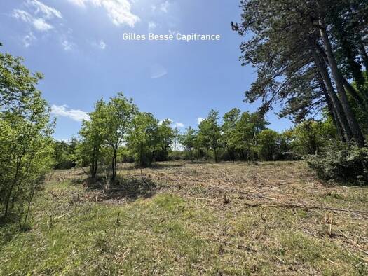 Terrain constructible à vendre 69 000 € 2 700 m² de terrain Bassillac et Auberoche 24330