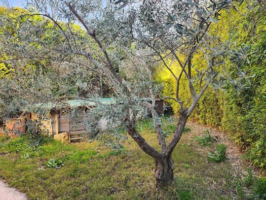 Maison à vendre 331 000 € 4 pièces 2 chambres 95 m² 261 m² de terrain Fabregoules-Caillols-Rougiere-Peyrards Septèmes-les-Vallons 13240