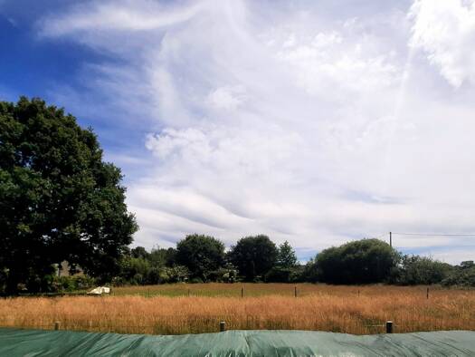 Terrain constructible viabilisé à vendre 99 000 € 1 002 m² de terrain Saulnières 35320