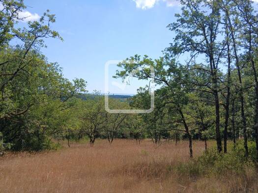 Terrain constructible à vendre 41 000 € 3 024 m² de terrain Cuzance 46600
