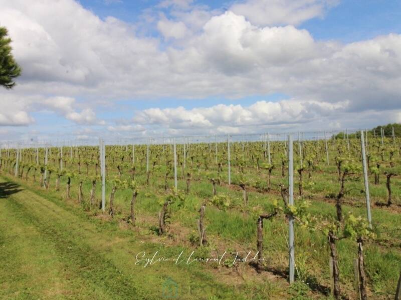 Maison à vendre, 166m², MARANSIN