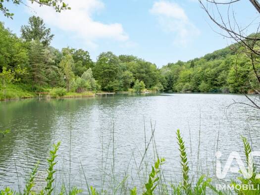 Demeure à vendre 1 300 000 € 12 pièces 10 chambres 128 m² 93 431 m² de terrain Chalabre 11230