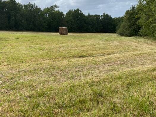 Maison à vendre 188 000 € 5 pièces 2 chambres 119 m² 75 111 m² de terrain La Genetouze 17360