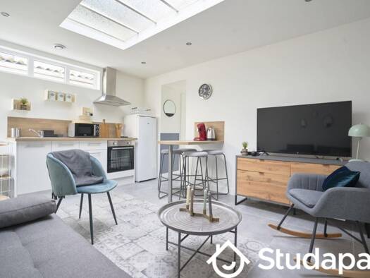 Colocation à louer 505 € 1 pièce 1 chambre 15 m² 1er étage Bois Blanc Lille 59000