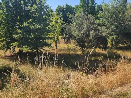 Terrain constructible à vendre 30 000 € 2 000 m² de terrain Nantheuil 24800