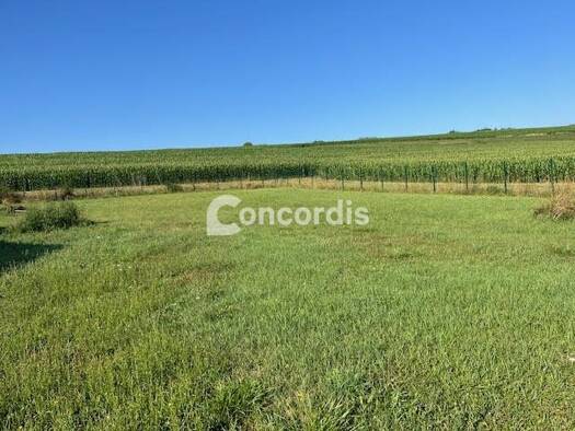 Terrain à vendre 61 500 € Belleray 55100